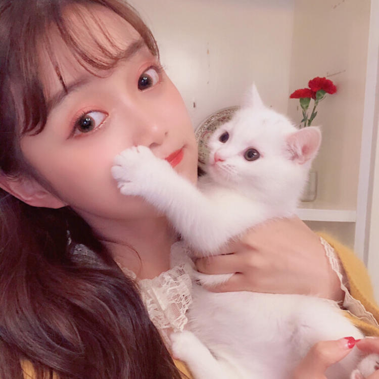 斋藤一（身份：前新选组第三分队组长、“壬生狼”） - 动画电影国语在线观看 - 客户端追剧